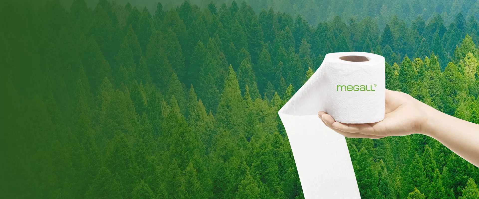 Sanitary Paper Supplier at Pabrika