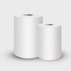 Ano ang mahalaga sa sanitary paper para sa pang -araw -araw na kalinisan at ginhawa?