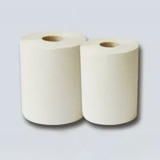 Mechanical Pulp Roll Towels